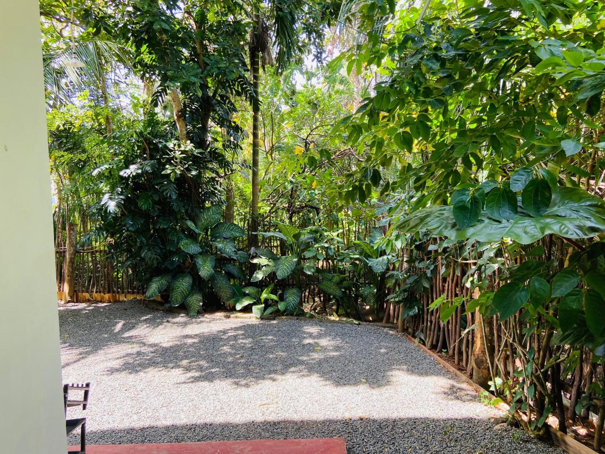 דיקוולה Leo Homestay מראה חיצוני תמונה