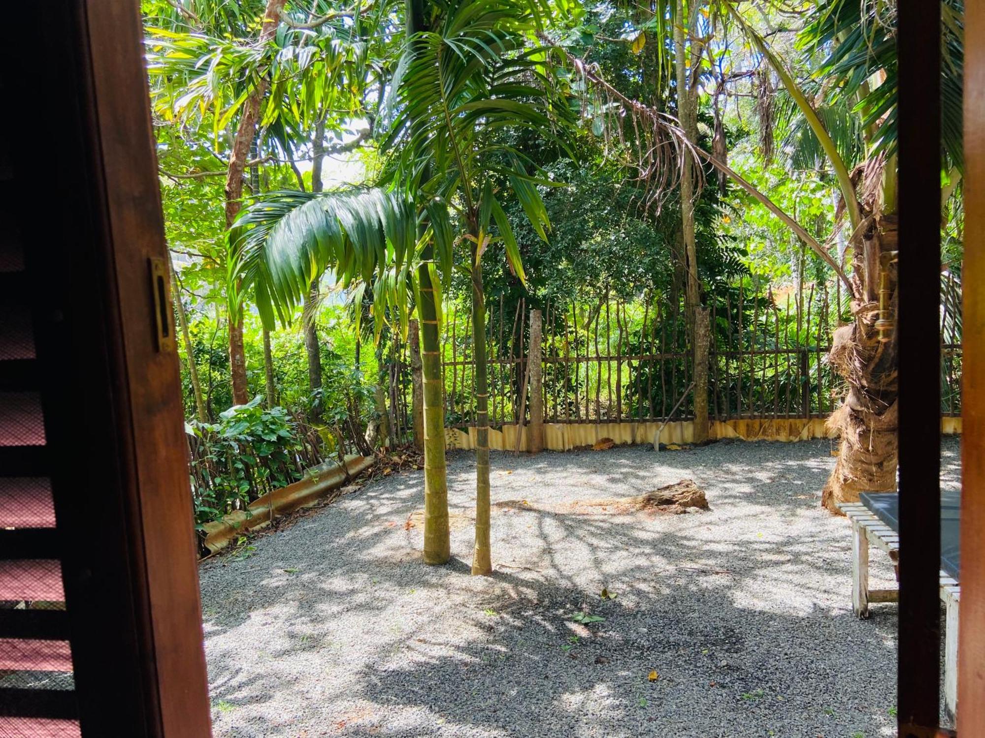 דיקוולה Leo Homestay מראה חיצוני תמונה