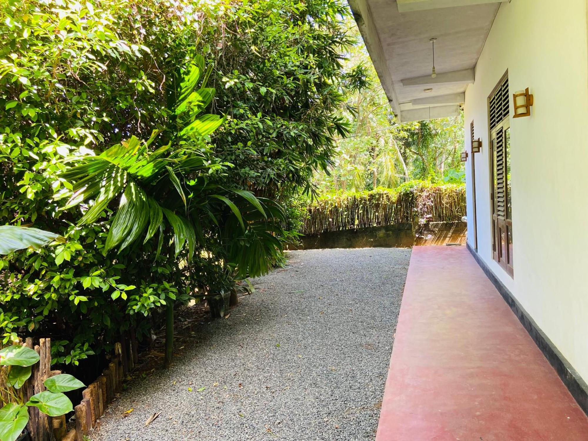 דיקוולה Leo Homestay מראה חיצוני תמונה