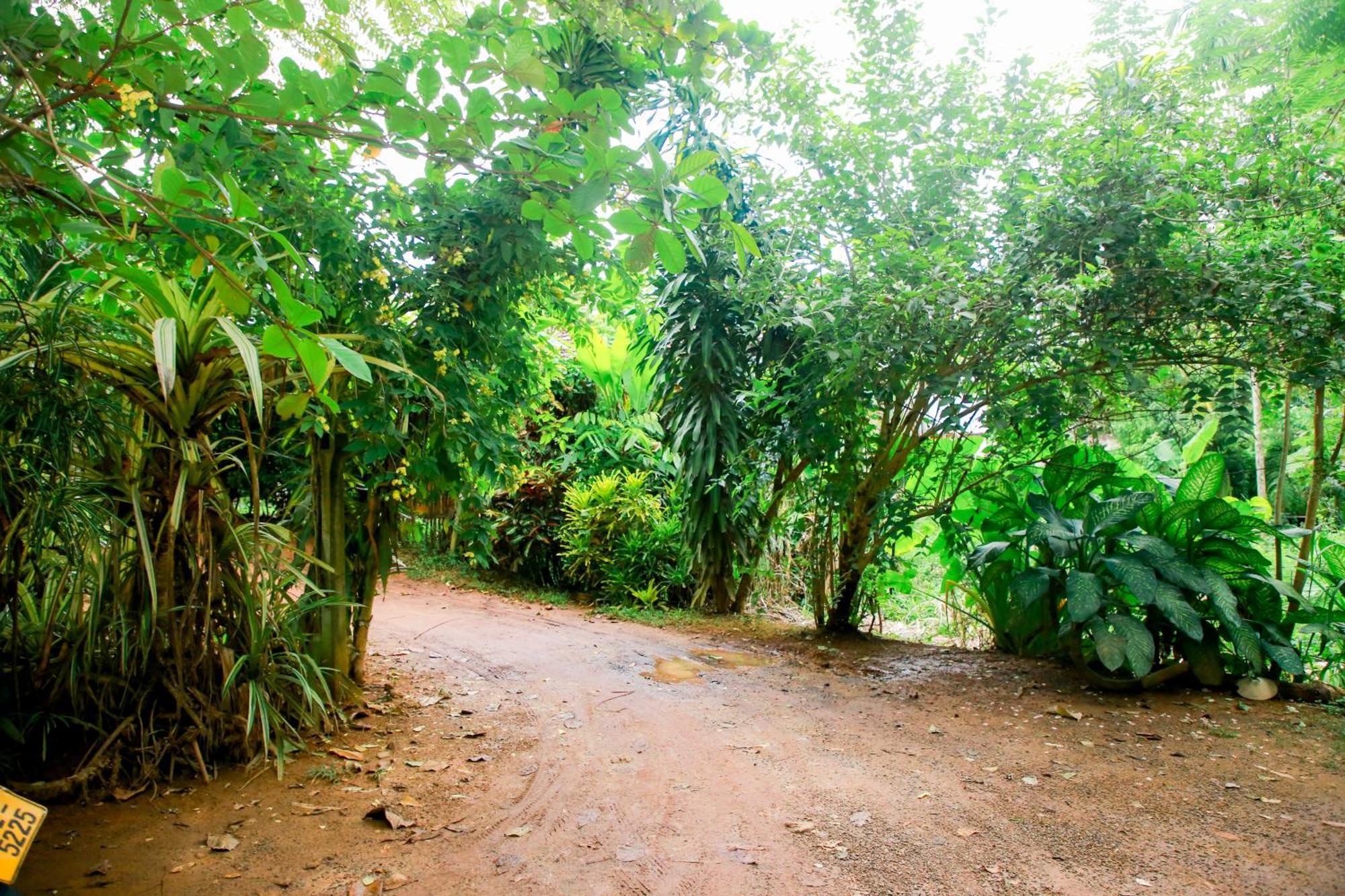 דיקוולה Leo Homestay מראה חיצוני תמונה