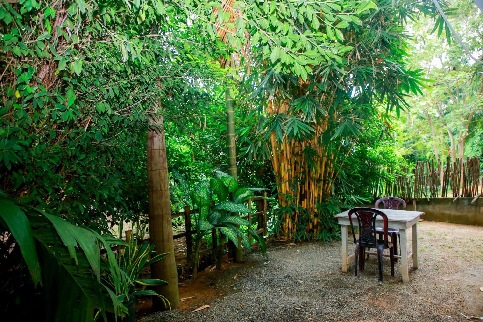 דיקוולה Leo Homestay מראה חיצוני תמונה